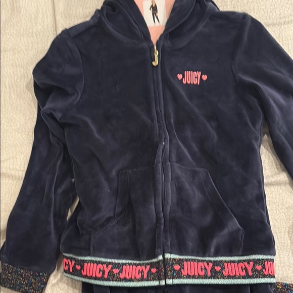 NWT Juicy Couture Blue Velour Track Pants - Picture 2 of 4